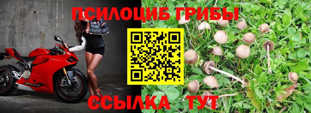 Псилоцибиновые грибы MAGIC MUSHROOMS Фрязино