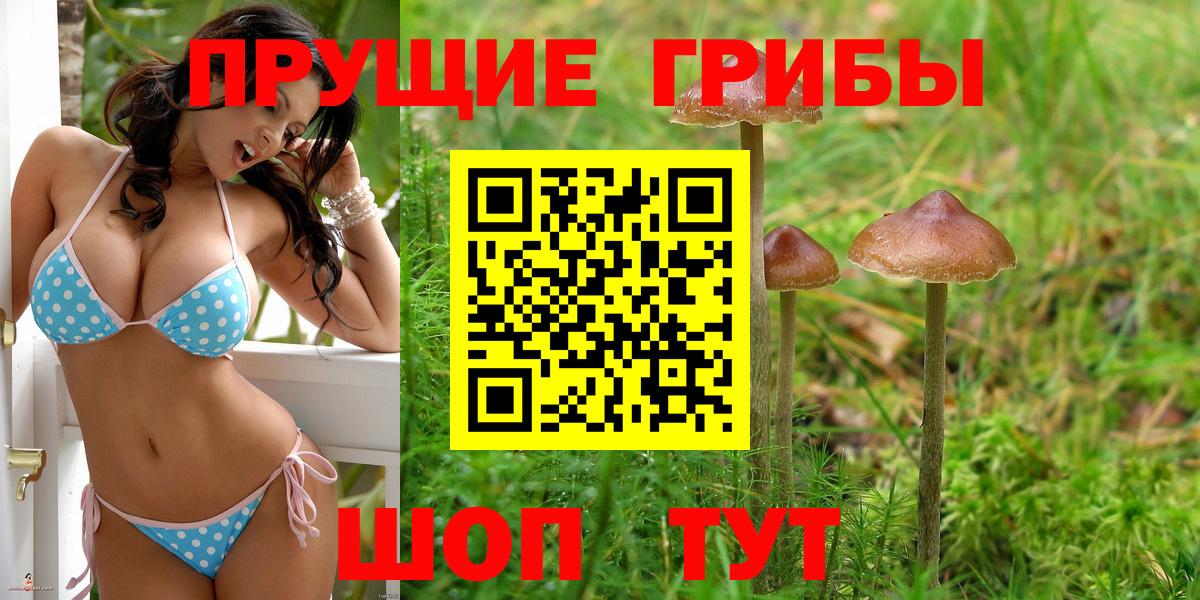 Галлюциногенные грибы Cubensis  Псилоцибиновые грибы Magic Shrooms  Фрязино  Вход с VPN 