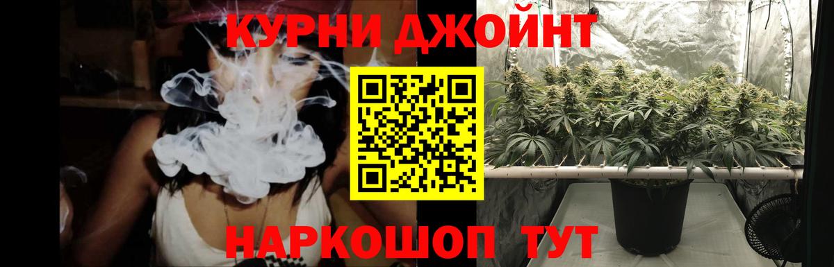 Бошки Шишки Ganja  Канабис SATIVA & INDICA  Фрязино  Вход с VPN  Канабис OG Kush 